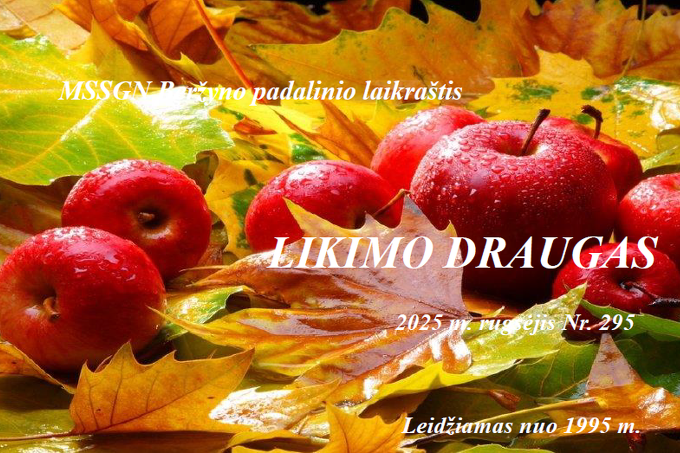 Iliustracija