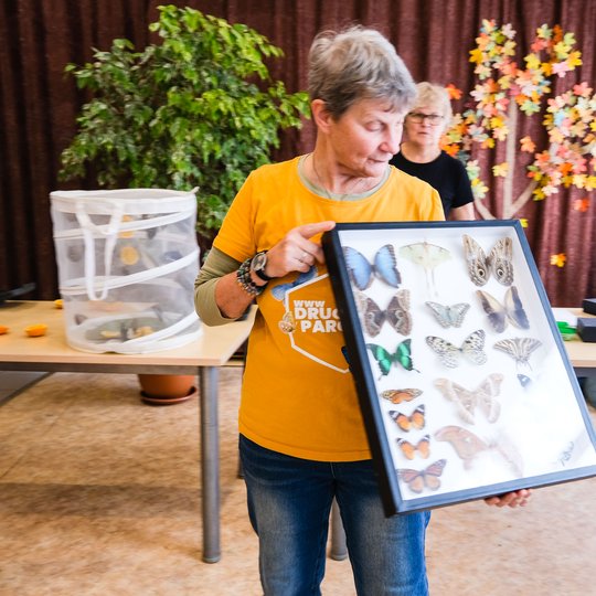 Iliustracija