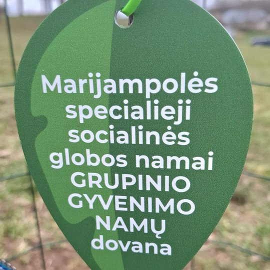 Iliustracija
