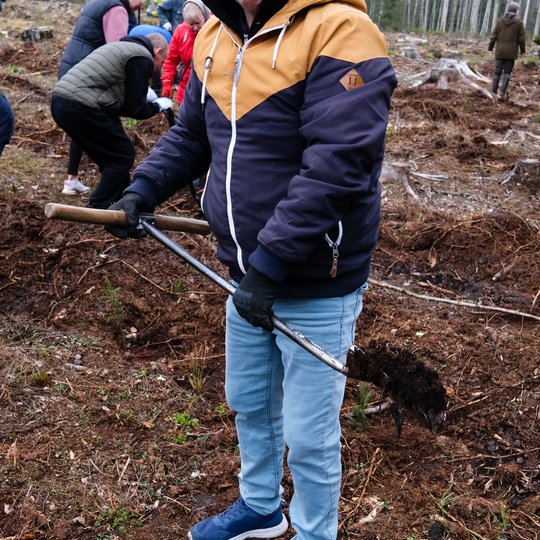 Iliustracija
