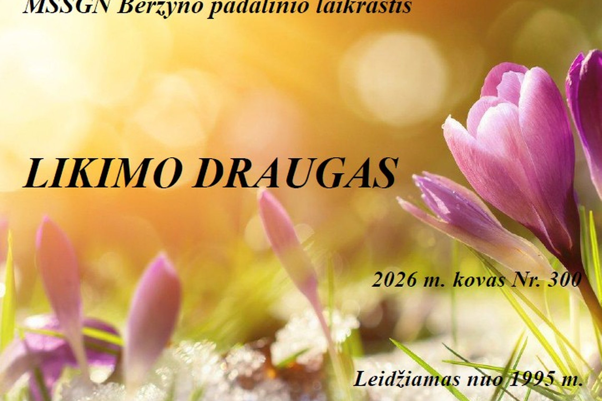 Iliustracija