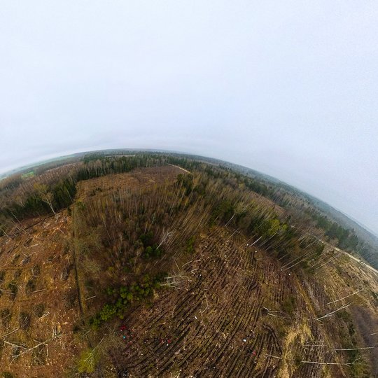 Iliustracija