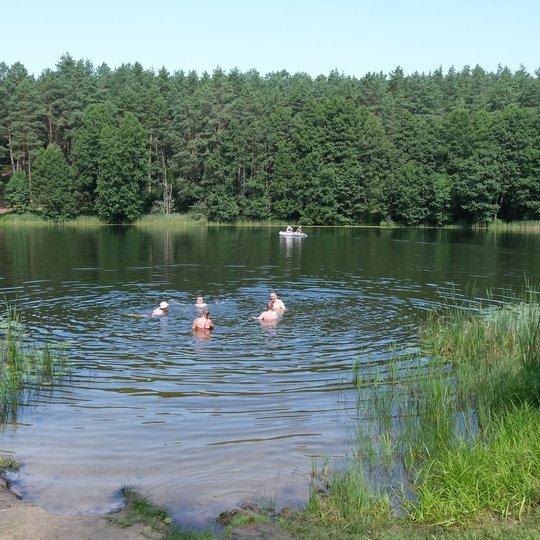 Iliustracija