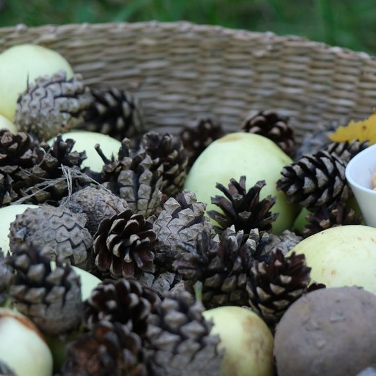 Iliustracija